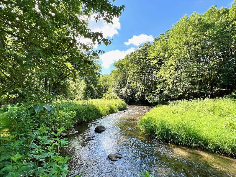 Image of Unit 1.4 Bellflower Drive