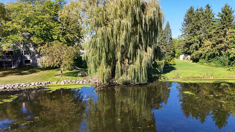 Image of 5393 Westport Road