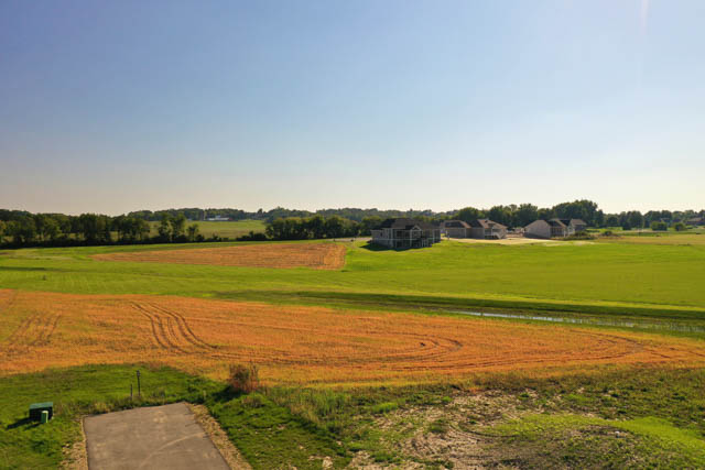 Castleton Meadow view 1