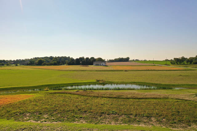 Castleton Meadow view 2