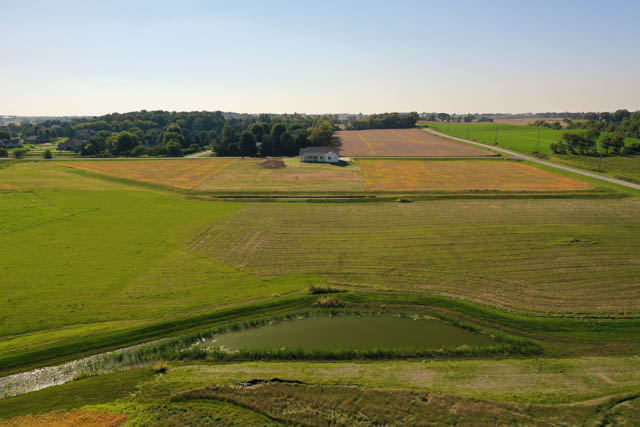 Castleton Meadow view 3