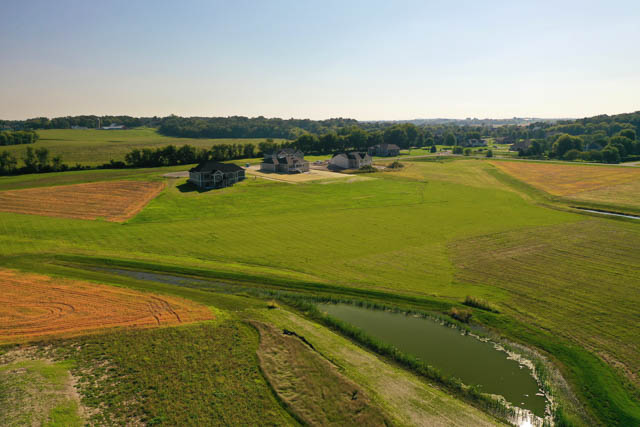 Castleton Meadow view 5