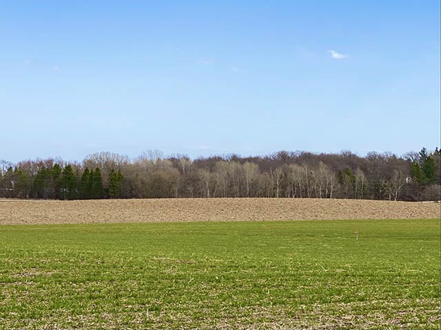 Castleton Meadow view 3