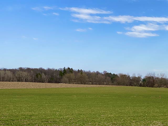 Castleton Meadow view 5